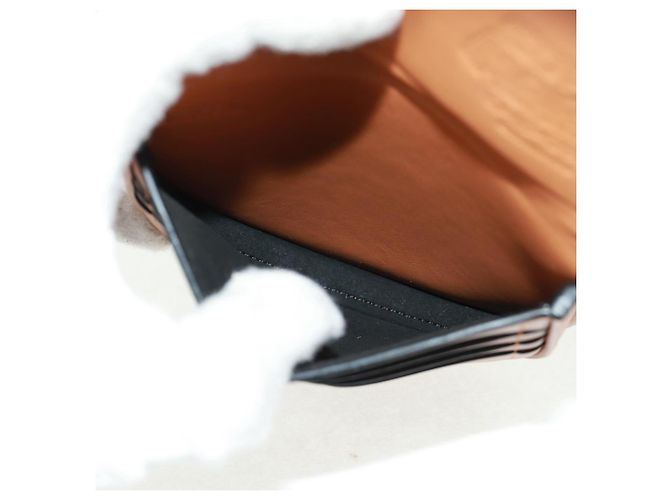 Collaborazione LOEWE PARCO Solo 50 Pezzi nel Mondo Borsa Mario Auth SW2124SM Marrone - vista 11