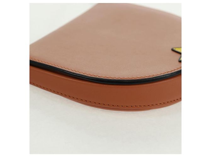 Collaborazione LOEWE PARCO Solo 50 Pezzi nel Mondo Borsa Mario Auth SW2124SM Marrone - vista 15