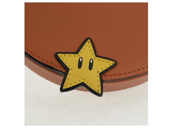 Collaborazione LOEWE PARCO Solo 50 Pezzi nel Mondo Borsa Mario Auth SW2124SM Marrone - vista 17