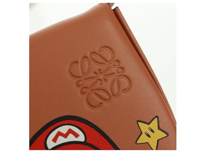 Collaborazione LOEWE PARCO Solo 50 Pezzi nel Mondo Borsa Mario Auth SW2124SM Marrone - vista 18
