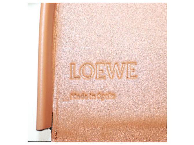 Collaborazione LOEWE PARCO Solo 50 Pezzi nel Mondo Borsa Mario Auth SW2124SM Marrone - vista 20