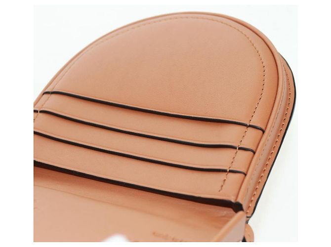 Collaborazione LOEWE PARCO Solo 50 Pezzi nel Mondo Borsa Mario Auth SW2124SM Marrone - vista 23