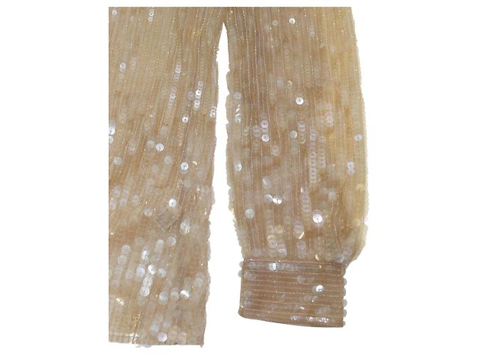 NWT Alberta Ferretti Blusa Transparente de Seda com Apliques de Lantejoulas Nudes Top de Noite IT 44 Bege - vista 6