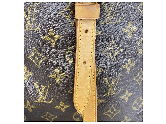 Borsa Tote Bucket GM Monogram Louis Vuitton Marrone - vista 9