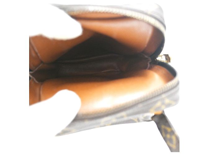 Louis Vuitton Amazone Monogram Canvas Mini Marrone - vista 5