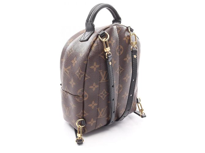 Zaino/borsa Palm Springs Mini di Louis Vuitton Marrone Nero - vista 2