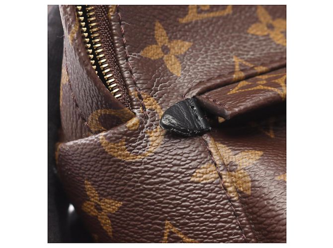 Zaino/borsa Palm Springs Mini di Louis Vuitton Marrone Nero - vista 6