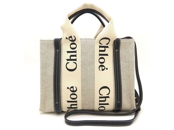 Chloé Borsa Tote Piccola Woody Bianco Blu - vista 2