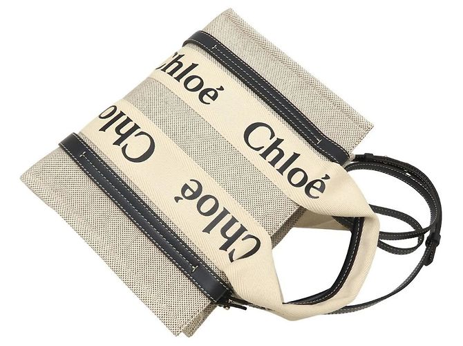 Chloé Borsa Tote Piccola Woody Bianco Blu - vista 5