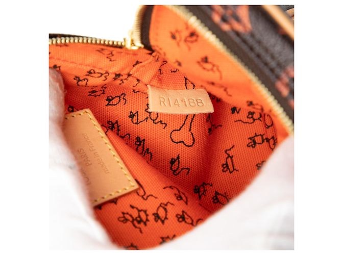 Louis Vuitton Marrone Grace Coddington Catogram Paname PM - vista 6