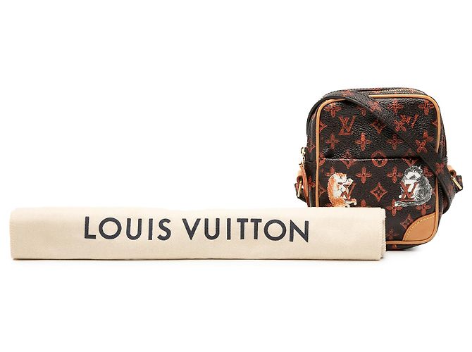 Louis Vuitton Marrone Grace Coddington Catogram Paname PM - vista 8