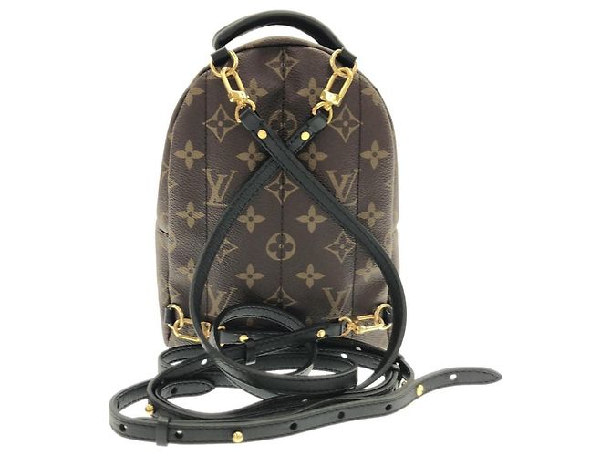 Zaino Mini Palm Springs Monogram Louis Vuitton Marrone - vista 2