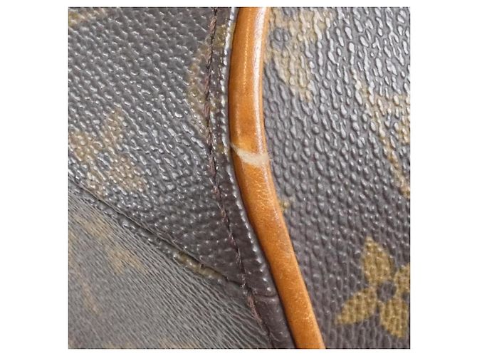 Borsa a mano Ellipse PM Monogram Louis Vuitton Marrone - vista 3