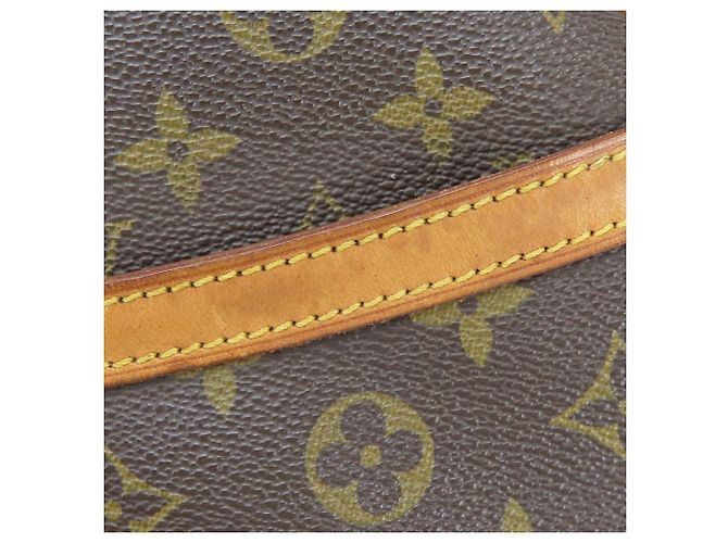 Borsa a spalla in pelle Nume Monogram Blower Louis Vuitton Marrone - vista 5