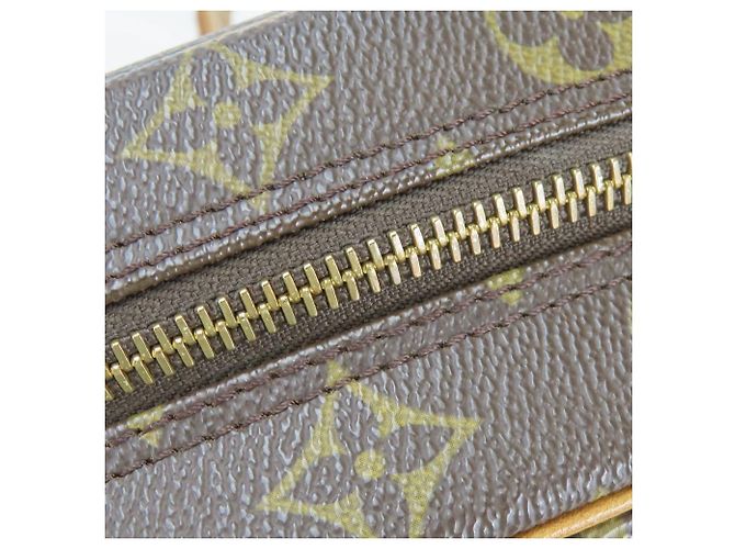 Borsa a spalla in pelle Nume Monogram Blower Louis Vuitton Marrone - vista 6