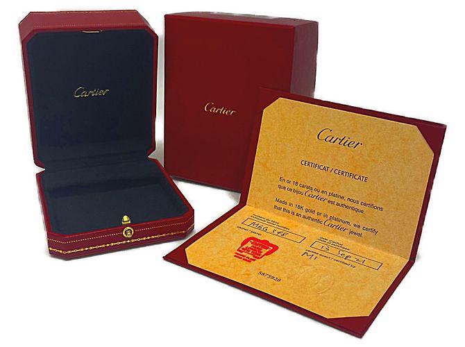 Orecchini Juste Un Clou di Cartier - vista 12