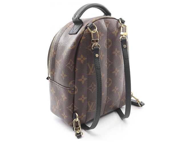 Zaino Mini Palm Springs di Louis Vuitton Marrone Nero - vista 2