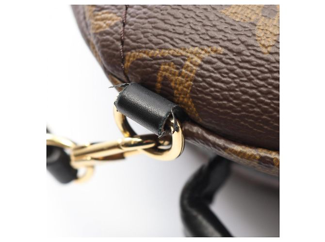 Zaino Mini Palm Springs di Louis Vuitton Marrone Nero - vista 8