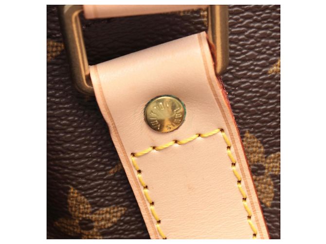 Borsa Boston Keepall 60 Louis Vuitton Marrone - vista 6