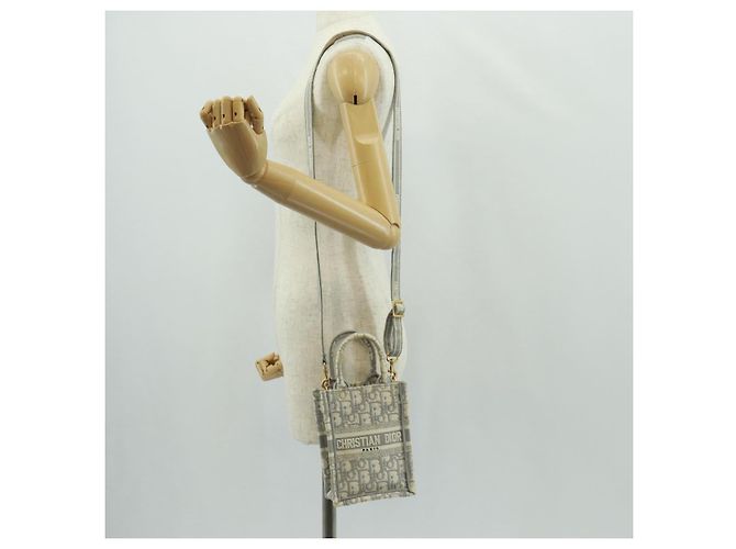 Mini borsa Tote da libro Trotter in tela obliqua Christian Dior bianco oro Auth 170699M D'oro - vista 25