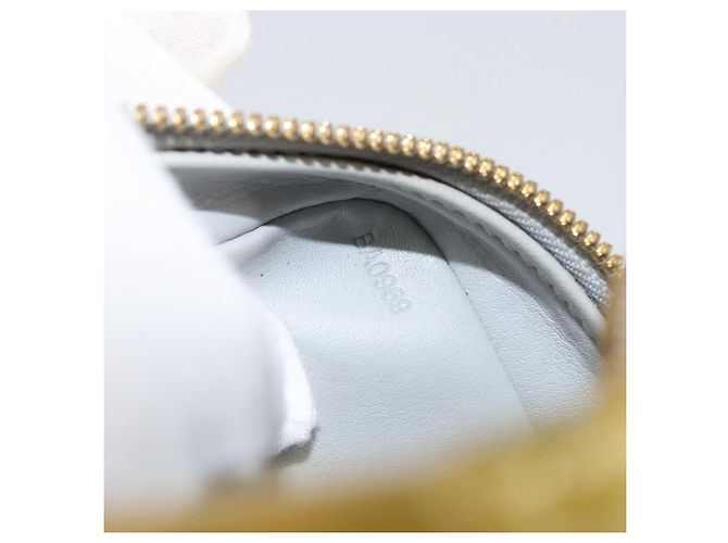 LOUIS VUITTON Borsa a spalla Wooster Monogram Vernis Grigio M91036 LV Auth 169545 - vista 12
