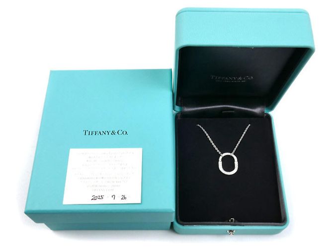 Collana in diamante in oro bianco 18K Tiffany & Co. - vista 7