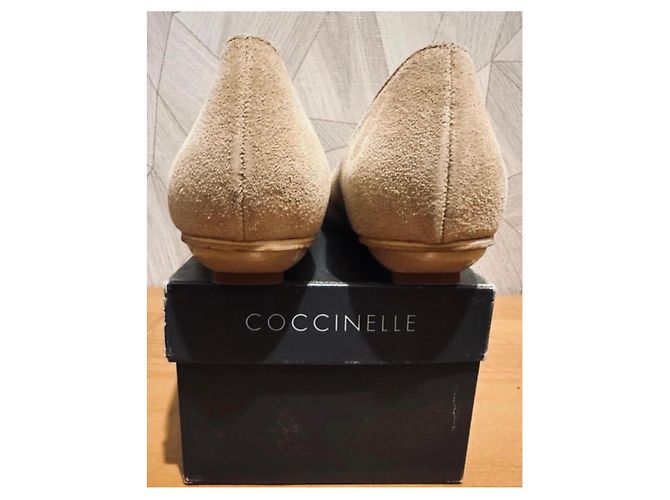 Autre Marque Scarpe basse Coccinnelle in camoscio beige - vista 4