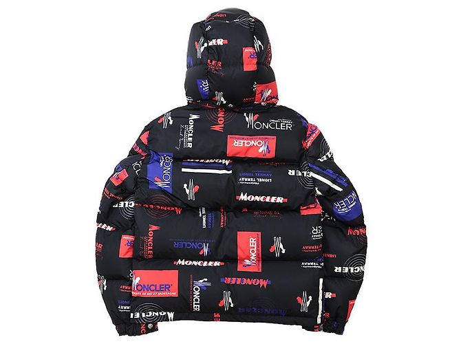 Chaqueta de plumas de nylon Moncler WILSON Negro - vista 12