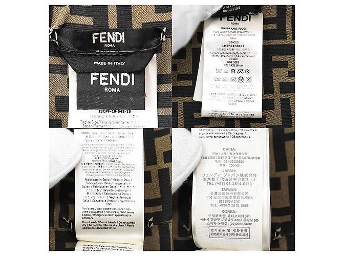 Fendi FENDI ROMA Maxi Lenço de Seda Wrappy Marrom - vista 10