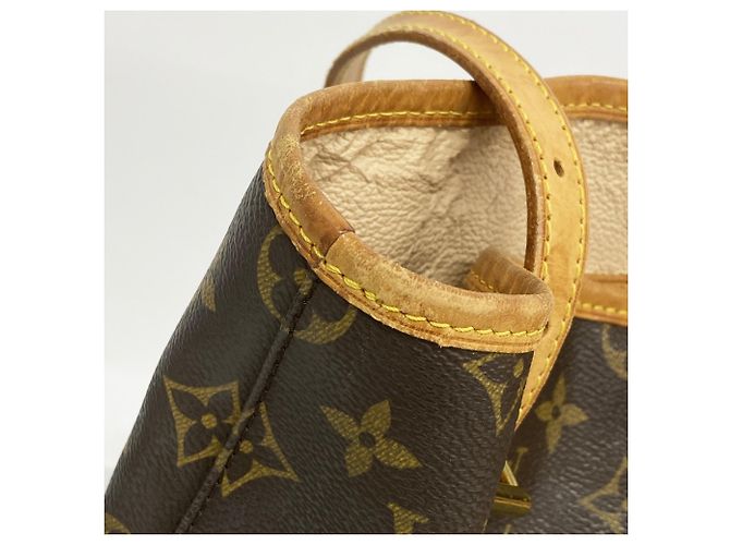 Borsa Tote Monogram Bucket GM di Louis Vuitton Marrone - vista 11