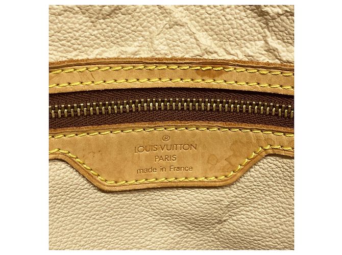 Borsa Tote Monogram Bucket GM di Louis Vuitton Marrone - vista 5