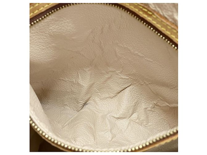 Borsa Tote Monogram Bucket GM di Louis Vuitton Marrone - vista 7