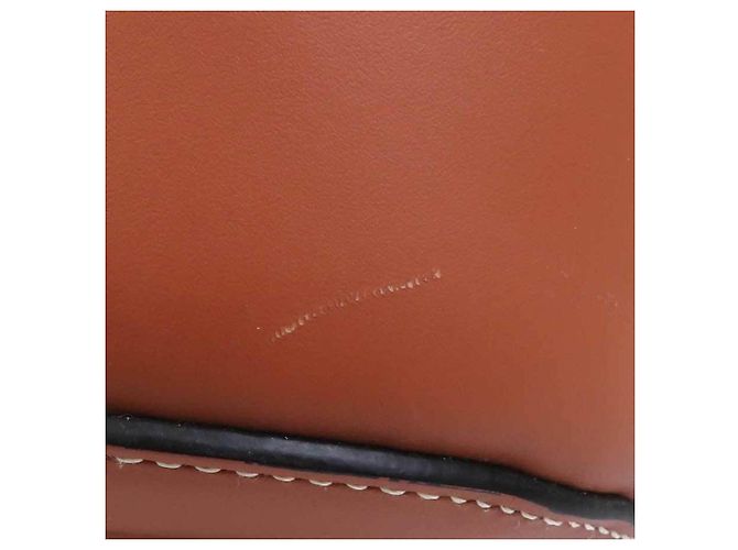 Borsa a Spalla Paula's Ibiza di Loewe Marrone Blu - vista 10