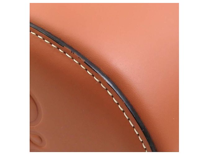 Borsa a Spalla Paula's Ibiza di Loewe Marrone Blu - vista 6