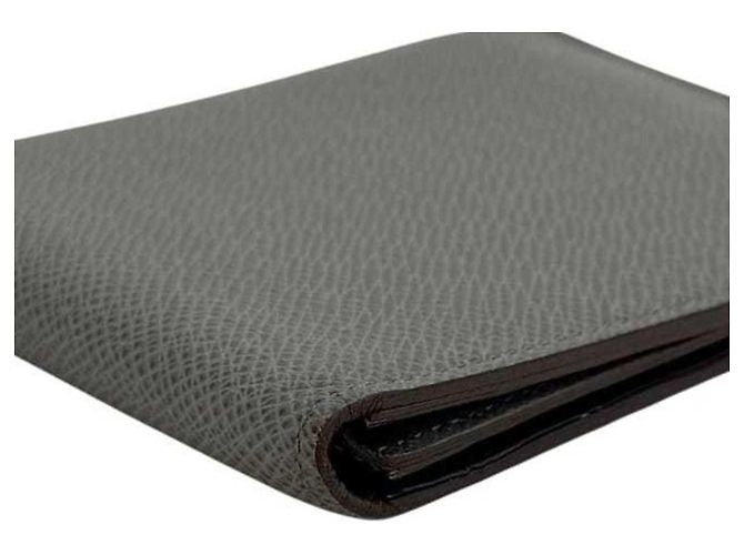 Portafoglio bi-fold Louis Vuitton grigio ghiacciaio Marrone - vista 10