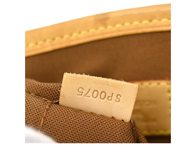 Louis Vuitton Batignolles Monogram Canvas Vertical - vista 5