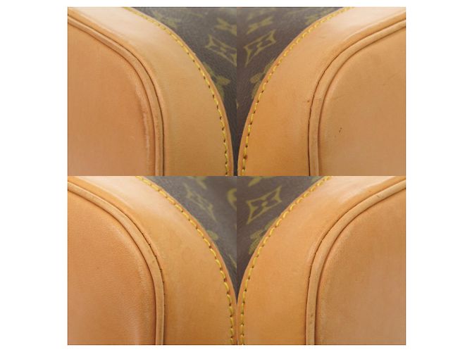 Borsa a mano Alma Monogram Louis Vuitton Marrone Monogramma - vista 4