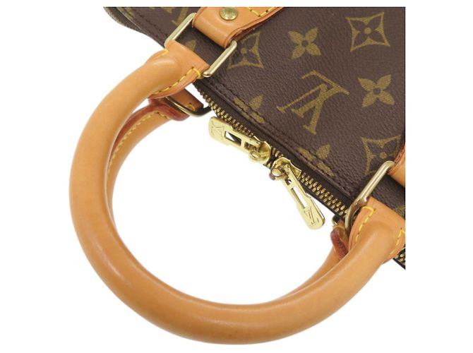 Borsa a mano Alma Monogram Louis Vuitton Marrone Monogramma - vista 7