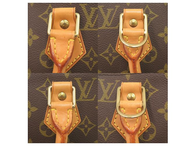 Borsa a mano Alma Monogram Louis Vuitton Marrone Monogramma - vista 8
