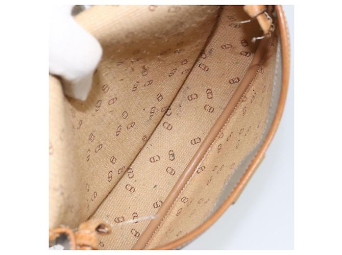 Borsa a Spalla Christian Dior in PVC Pelle Grigia Oro Auth ti3764 Marrone D'oro - vista 12