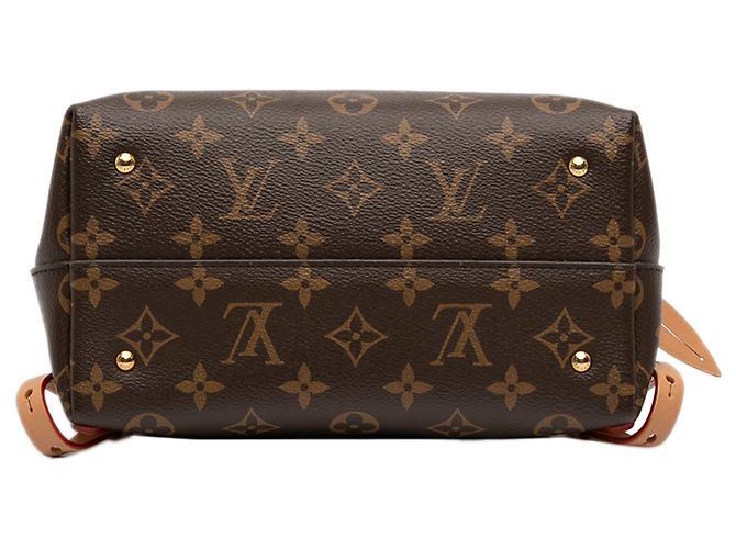 Zaino Moon Monogram Marrone Louis Vuitton - vista 3
