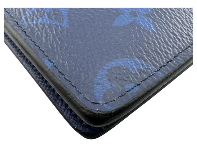 Cartera Larga Brazza Taiga Rama de Louis Vuitton Azul - vista 4