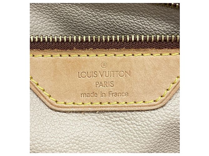 Borsa Tote Monogram Bucket GM di Louis Vuitton Marrone - vista 5