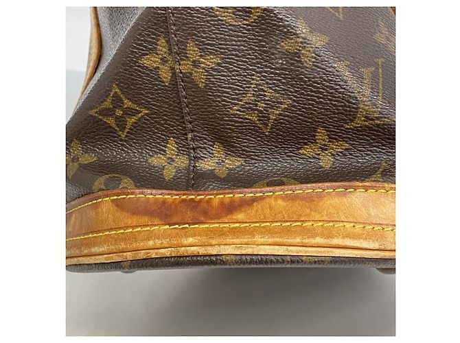 Borsa Tote Monogram Bucket GM di Louis Vuitton Marrone - vista 6