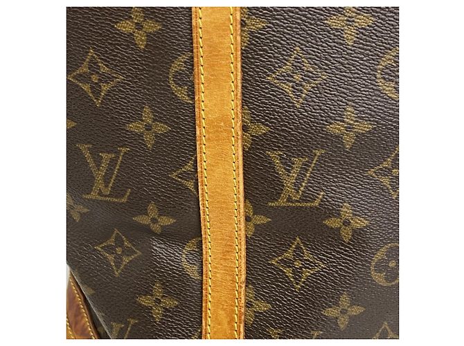 Borsa Tote Monogram Bucket GM di Louis Vuitton Marrone - vista 9