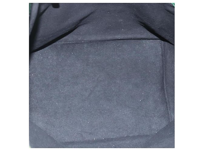 Louis Vuitton Petit Noe Epi Leather Small Verde - vista 5
