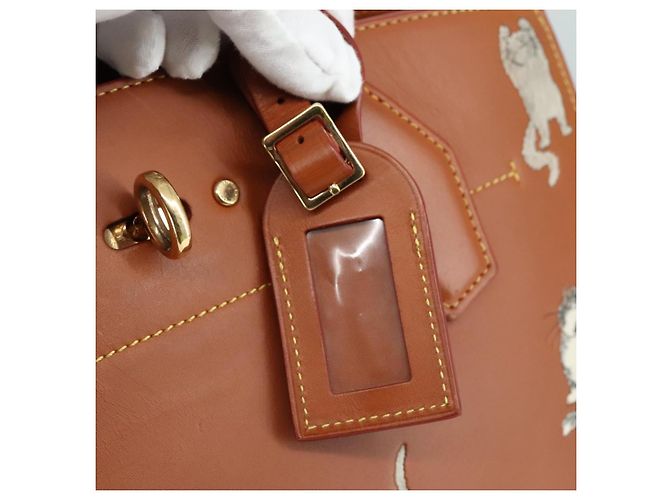 LOUIS VUITTON Borsa Catgram City Steamer MM in pelle 2 in 1 marrone M52969 Auth 104191SM - vista 18