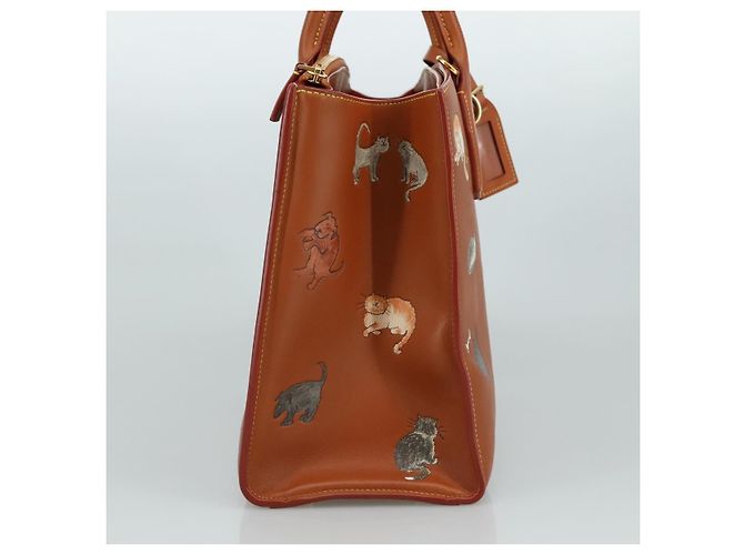 LOUIS VUITTON Borsa Catgram City Steamer MM in pelle 2 in 1 marrone M52969 Auth 104191SM - vista 3
