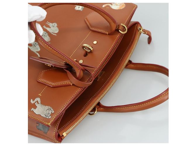 LOUIS VUITTON Borsa Catgram City Steamer MM in pelle 2 in 1 marrone M52969 Auth 104191SM - vista 6