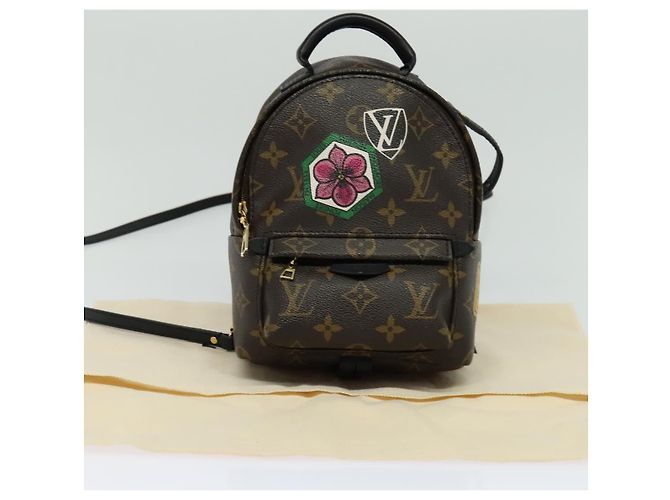 LOUIS VUITTON Borsa a Spalla Palm Springs Monogram World Tour M42971 Auth 115814SAV Monogramma - vista 12